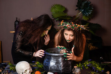 Two witches with tousled hair brew a potion in a cauldron with rats, halloween concept.