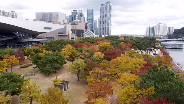 Aerial View of Autumn Naru Park, Centum City, Haeundae, Busan, South korea, Asia