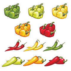 Fresh Vegetables Illustration,  Vegetables Mix. Bell Pepper, Chilli Pepper Isolated On white