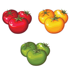 Fresh Vegetables Illustration,  Vegetables Mix. Tomato Isolated On white
