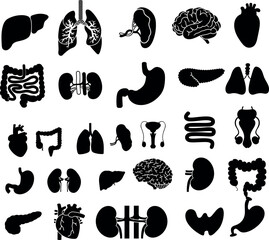 Digestive Health System Parts Silhouette, Human Body Parts, Digestive Parts Silhouettes Set 2