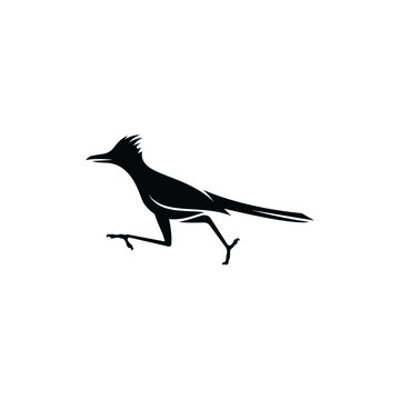 recommend clip art: roadrunner bird logo vector icon illustration