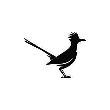 recommend clip art: roadrunner bird logo vector icon illustration