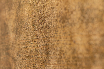 Wooden textured background, shot at an angle