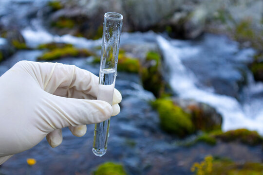 Water sample. Hand holding a test tube with water in nature. Water purity analysis and environment concept. Water testing. Infections and bacteria. chemical experiment, research concept.