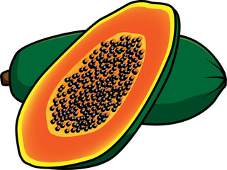 papaya illustration in white background,  Banana icon vector illustration, color drawing sign, symbol.