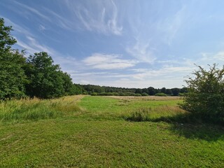 eine Wiese mit blauem Himmel in Niepars