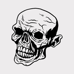 human skull illustration