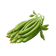 Watercolor Green Beans Illustration on Transparent Background
