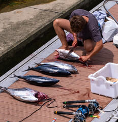 fisherman preparing fish