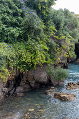 Naklejka premium river in the forest