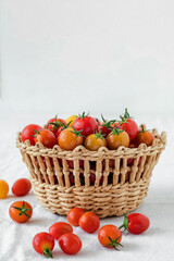 Wicker basket with fresh organic red and yellow cherry tomatoes. Copy space.