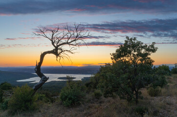 Lonely old tree at the hill, watching over Lac du Sainte-Croix in the Provence, France during sunset.
