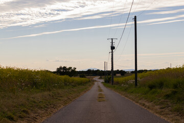 Fototapeta na wymiar Road trip through France: a small road in between farmland in the Provence.