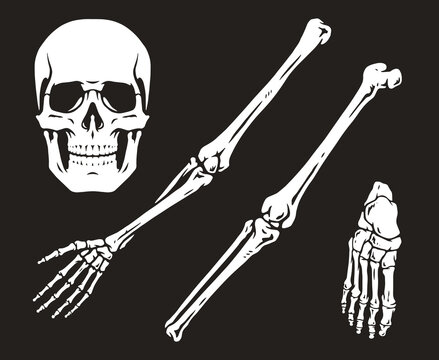 Human skeleton bones monochrome emblem