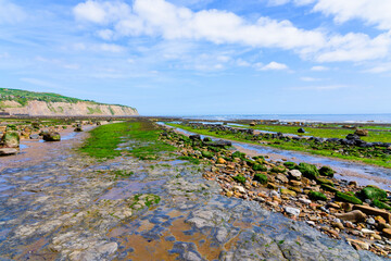 Spring morning at the North Yorkshire seaside resort of Robin Hoods Bay.