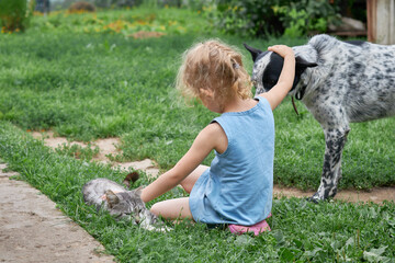 A child with a dog and a cat. The girl is playing with pets. Animal care.