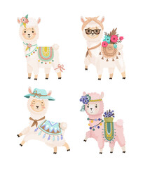 Collection of a cute Llamas