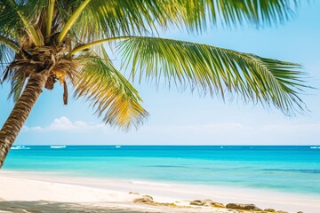 Panorama of beautiful tropical beach. Tropical beach with coconut palm trees and turquoise sea. Palm tree on tropical beach with turquoise water and white sand.