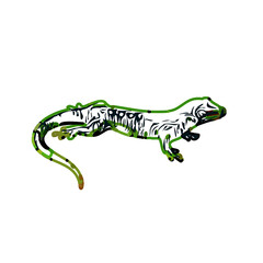 Fototapeta premium color sketch of gecko with transparent background