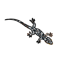 color sketch of gecko with transparent background