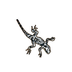 Fototapeta premium color sketch of gecko with transparent background