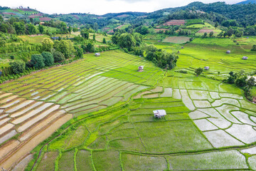 Fototapeta na wymiar Beautiful rice terraces in the countryside of northern Thailand, Chiang Mai province, Thailand.