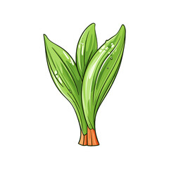 Leek watercolor vector illustration, Vegetable