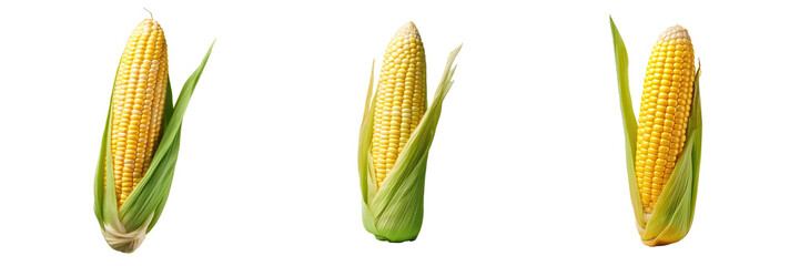 Fresh organic corn cob isolated on transparent background