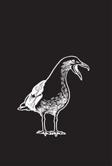 Vector illustration of sea-gull standing isolated on black,graphical drawing of bird