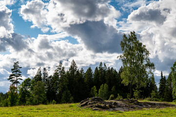 In Feld und Wald (Småland, Schweden)