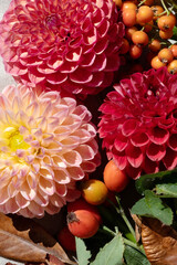 Beautiful festive autumn floral bouquet closeup with red, pink, orange dahlia, berries and dry leaves. Aesthetic fall holiday background, thanksgiving day postcard template