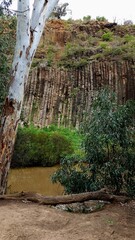 The organ pipes national park 