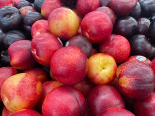 Fresh colorful plums in a pile on display in a grocery store