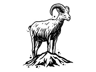 HAND DRAWN GOAT IN TOP MOUNTAIN ILLUSTRATION 