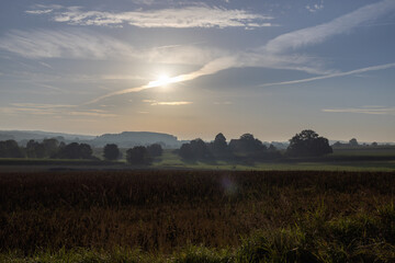 Field at sunrise in summer