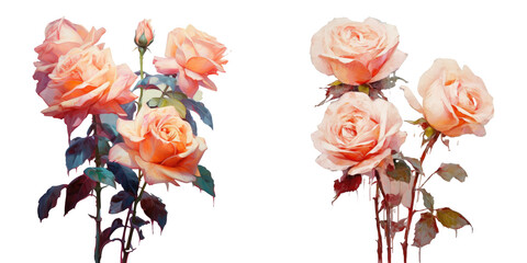 Fototapeta premium Flowers