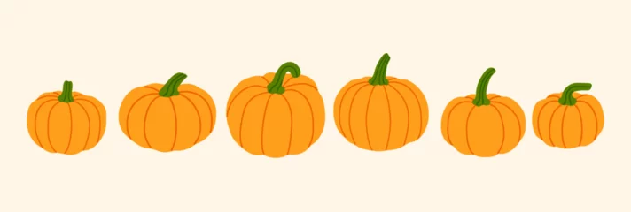 Foto op Plexiglas autumn orange vector pumpkins illustration banner, pumpkin decoration, autumn fruits, thanksgiving © Denitsa Kondakova