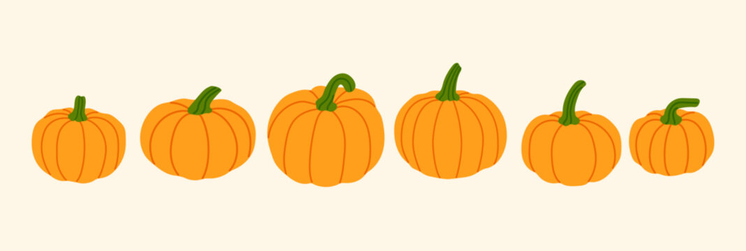 autumn orange vector pumpkins illustration banner, pumpkin decoration, autumn fruits, thanksgiving