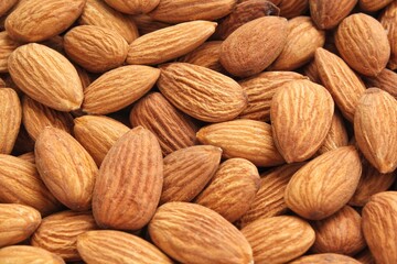 Pile of almond seeds close-up as background. Pile of apricot kernel peeled. Healthy eating diet, nutrition, vegan concept. Protein organic food. Dry snack. National nut day. Copy space for text