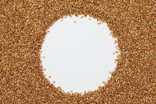 Wheat grain circle, heart frame, wheat, white background, background image, free space, place for text, top view