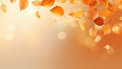 Autumn leaves in the park, seasonal banner with autumn foliage, copy space