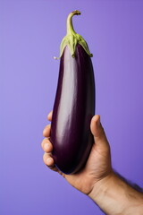 male hand holding long eggplant representing penis, masculinity, isolated on purple studio background