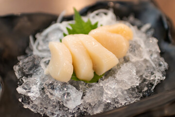 Sashimi scallop (Hotate) serve on ice with wasabi. Japanese food style.