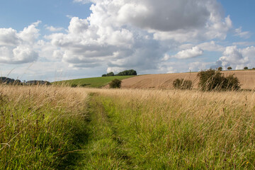 A field with a public footpath