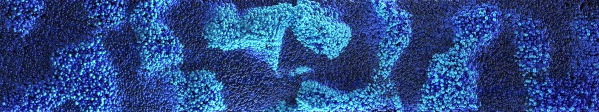 Blue Ocean Waves Widescreen Visual