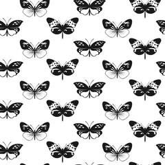 Butterfly Seamless Pattern. Decorative Fly Insect Background. Black and White Botanical Texture