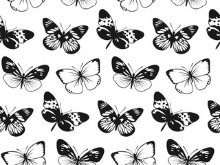 Fototapeta na wymiar Butterfly Seamless Pattern. Decorative Fly Insect Background. Black and White Botanical Texture