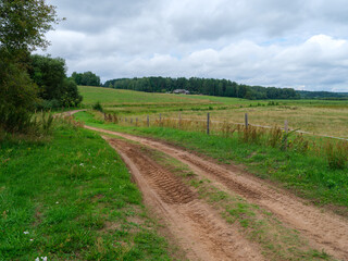 Fototapeta na wymiar gravel country road in green summer fields