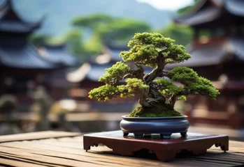 Fotobehang Bonsai tree japan style on pot © MAXXIMA Graphica